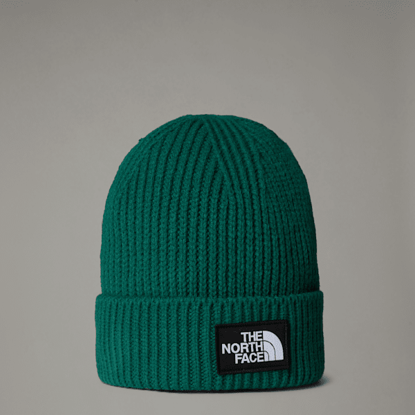The North Face Kids' Tnf Box Logo Cuffed Beanie Evergreen One