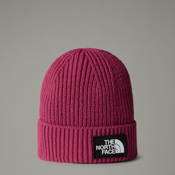 The North Face Kids' Tnf Box Logo Cuffed Beanie Cyber Berry One