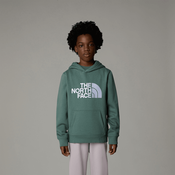 The North Face Boys' Drew Peak Hoodie Duck Green