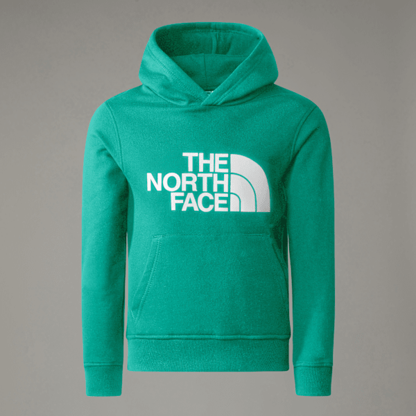 The North Face Teens' New Peak Hoodie Geyser Aqua