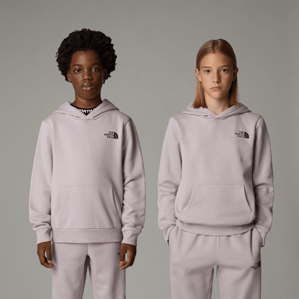 The North Face Teens' Simple Dome Hoodie Moonstone Grey
