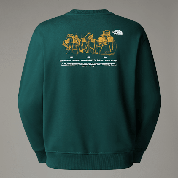 The North Face Mountain Jacket Anniversary Relaxed Sweatshirt Deep Nori