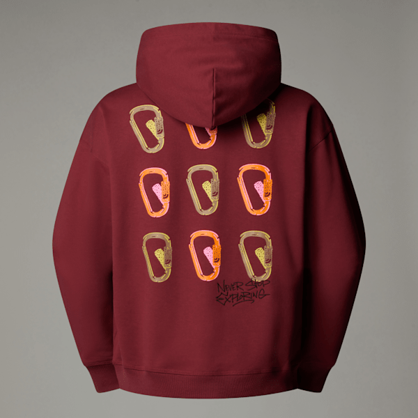 The North Face Unisex Nse Oversized Hoodie Sumac