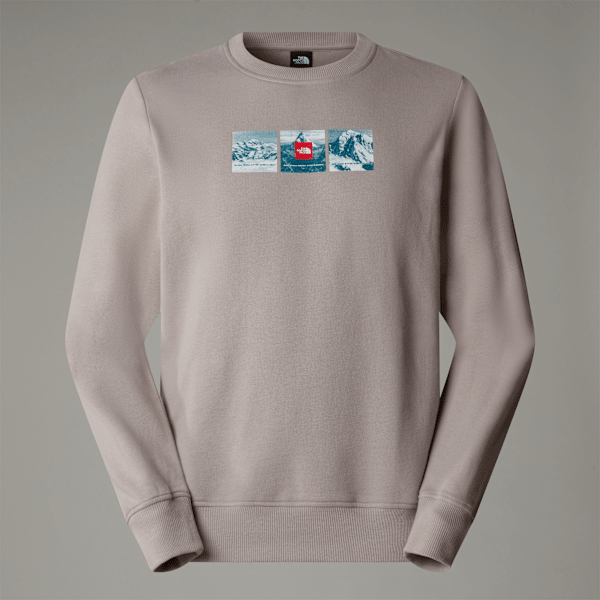 The North Face Men's Expedition System Graphic Sweatshirt Moonstone Grey