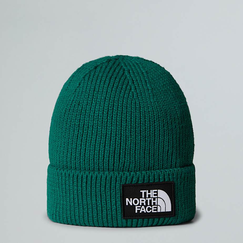 The North Face Tnf Logo Box Cuffed Beanie Evergreen One