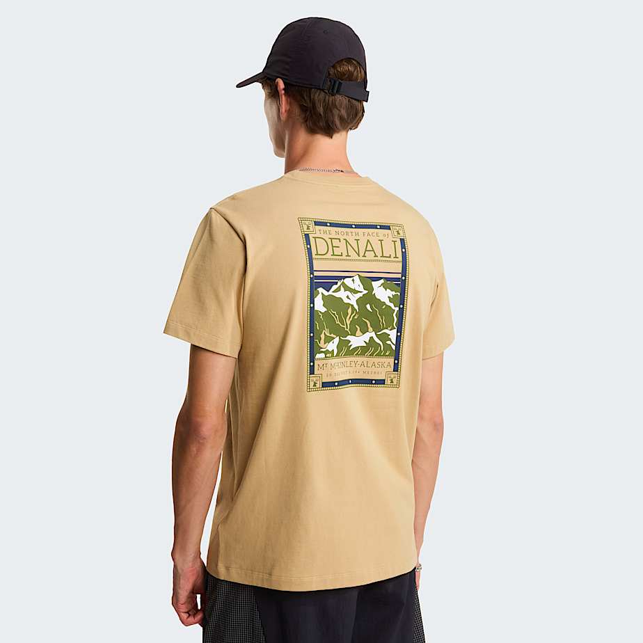 The North Face Men's North Faces Regular Graphic T-shirt Khaki Stone
