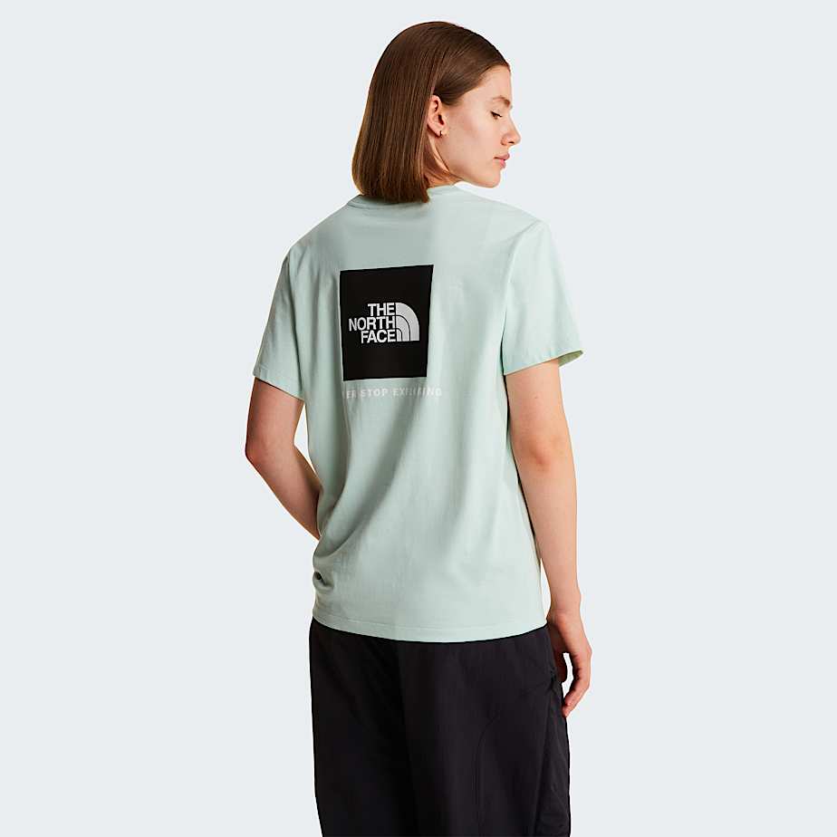 The North Face Evolution Nse Box Relaxt Geschnittenes T-shirt Für Damen Opal Frost 