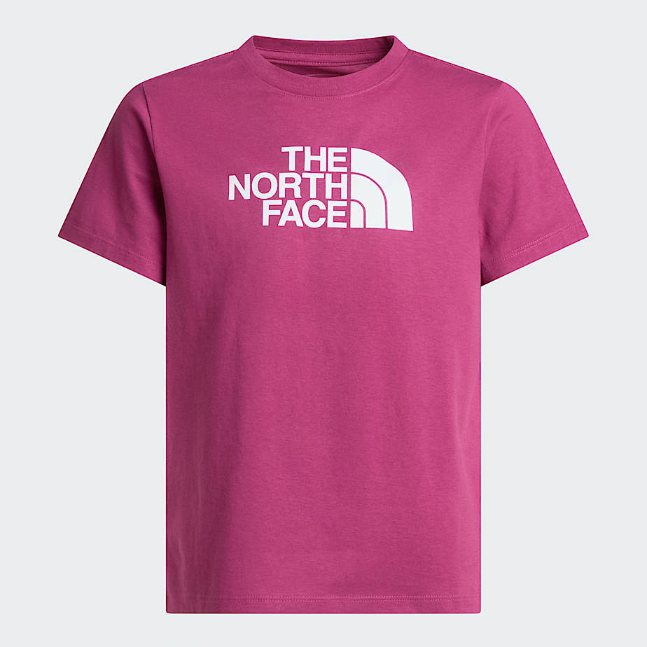 The North Face Teens' Evolution Half Dome T-shirt Cyber Berry