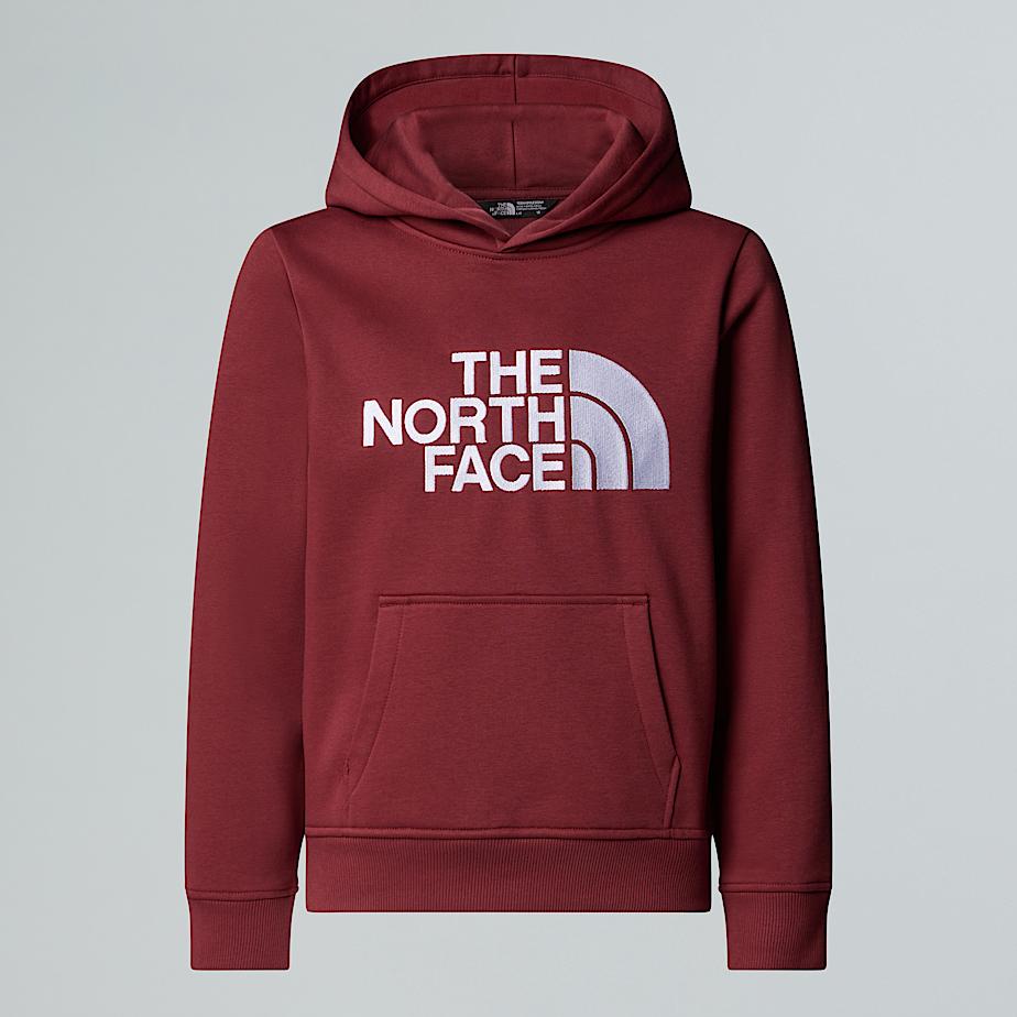 The North Face Teens' Drew Peak Pullover Hoodie Sumac