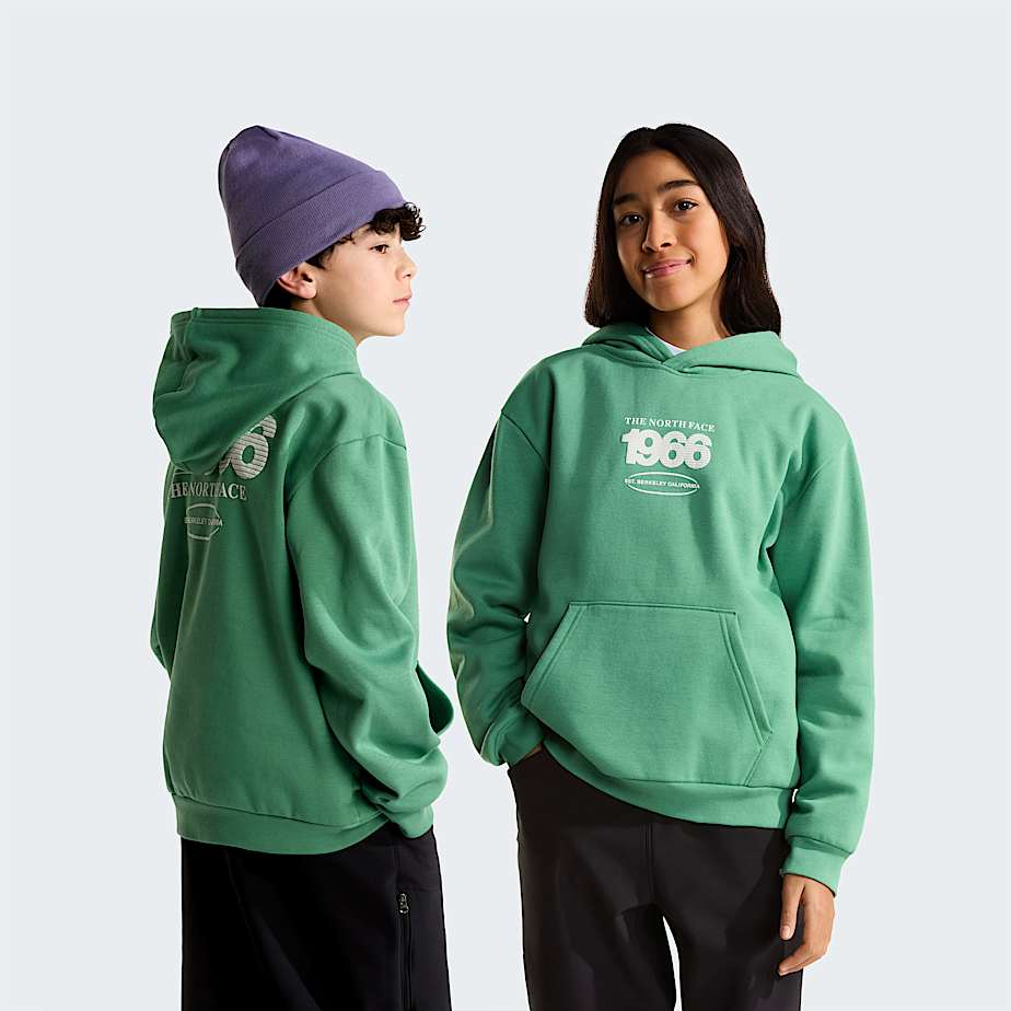 The North Face Teens' Track Relaxed Graphic Hoodie Dimmed Algae