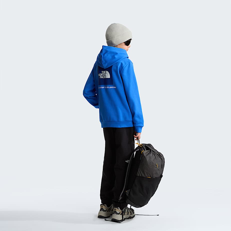 The North Face Teens' Evolution Box Nse Pullover Hoodie Active Blue