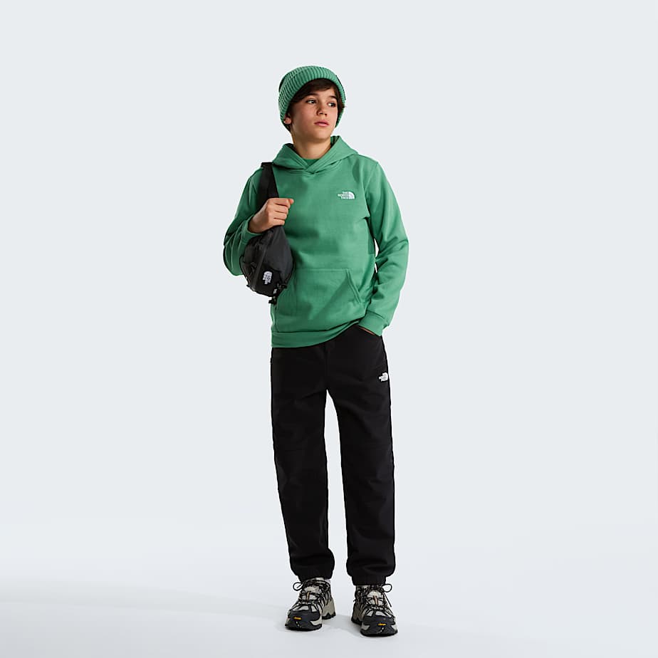 The North Face Teens' Evolution Simple Dome Pullover Hoodie Dimmed Algae