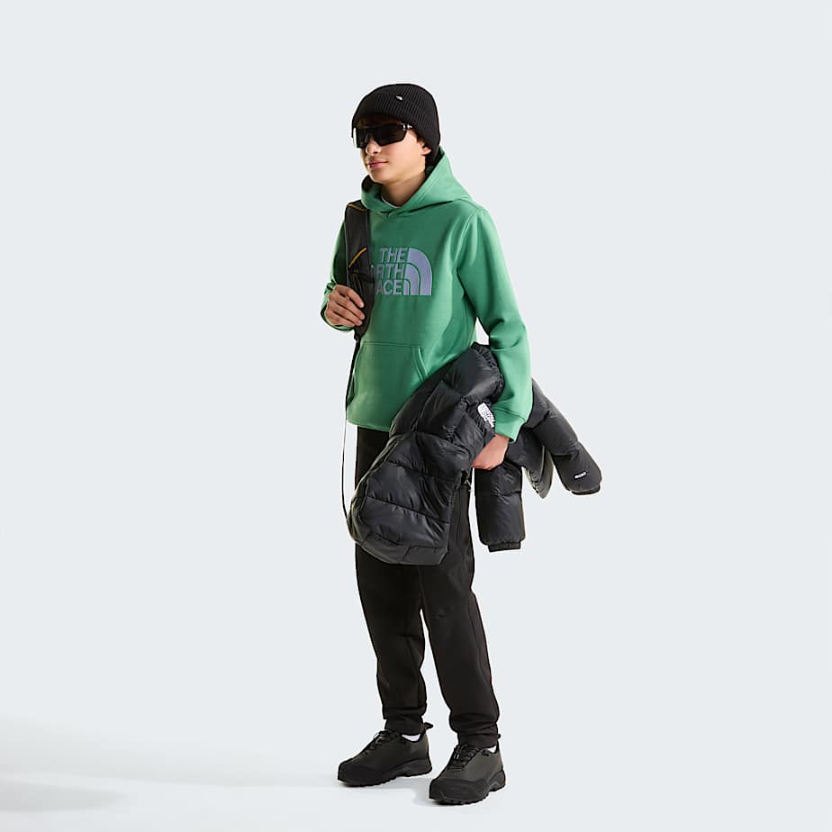 The North Face Teens' Tnf™ Essential Drew Peak Hoodie Dimmed Algae