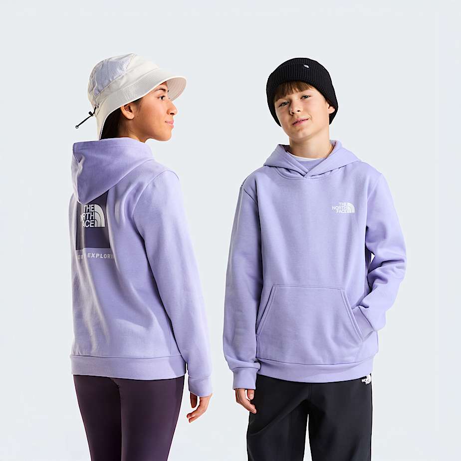 The North Face Teens' Evolution Box Nse Pullover Hoodie Pale Plum