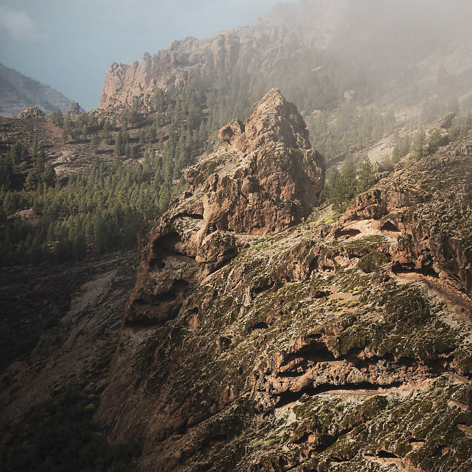 Transgrancanaria - banner1