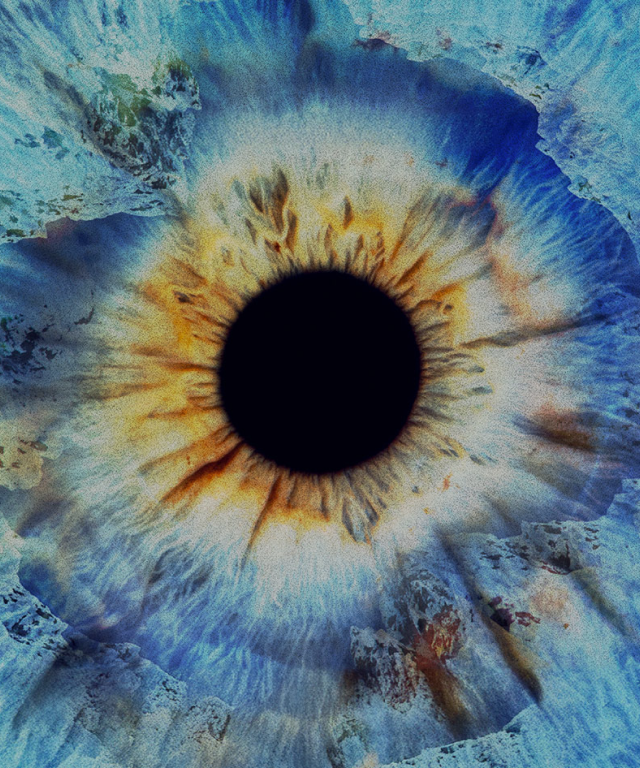 main banner lp selector