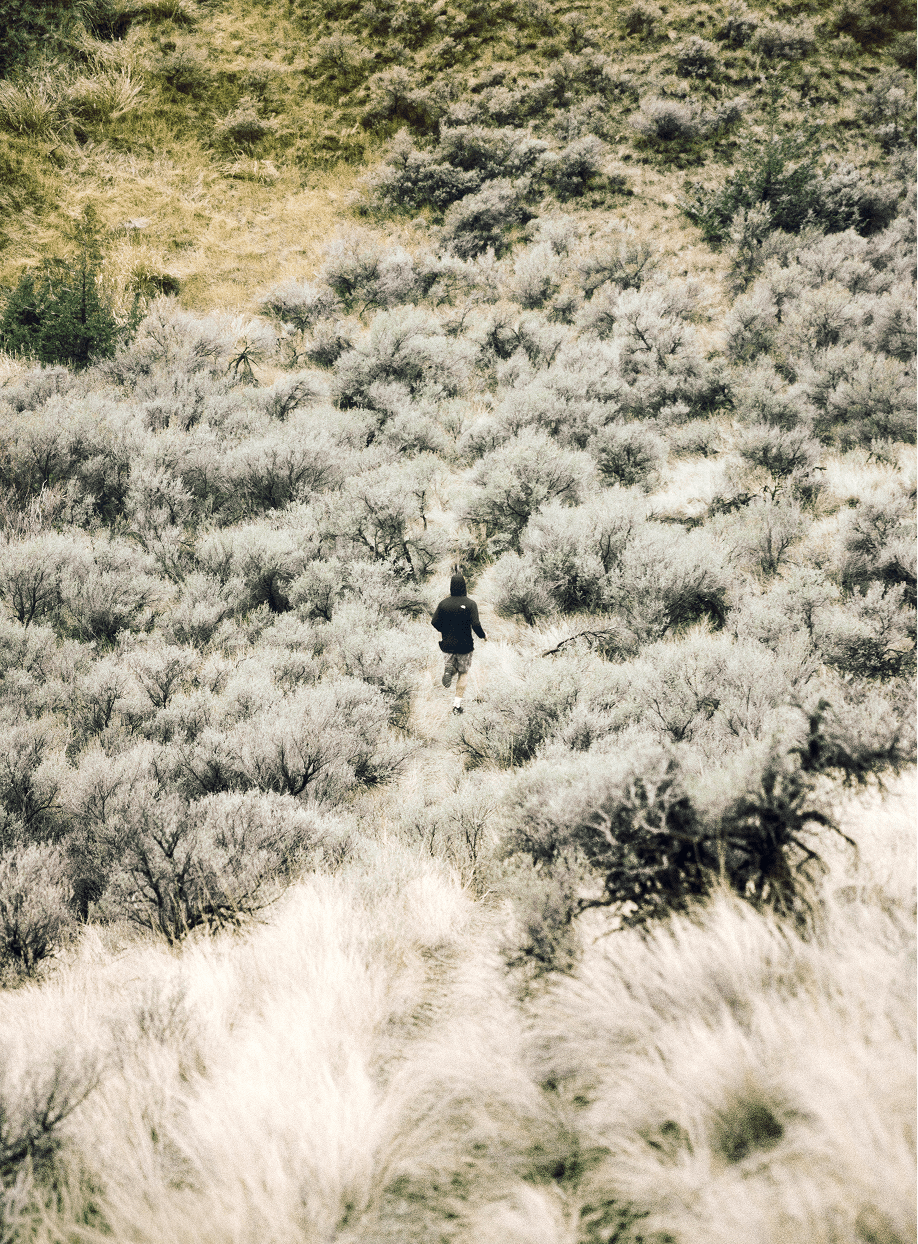 Hike Sun