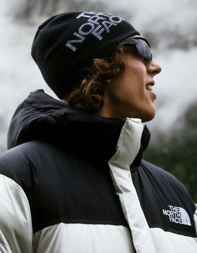 The north face denmark top