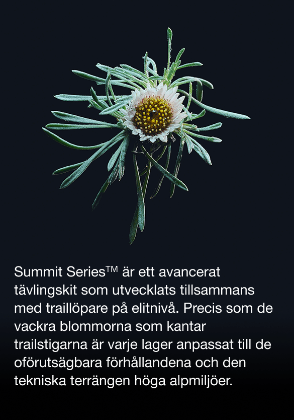 Slider Card 5
