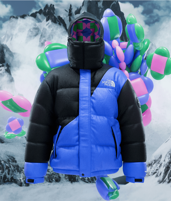 The north face denmark sales