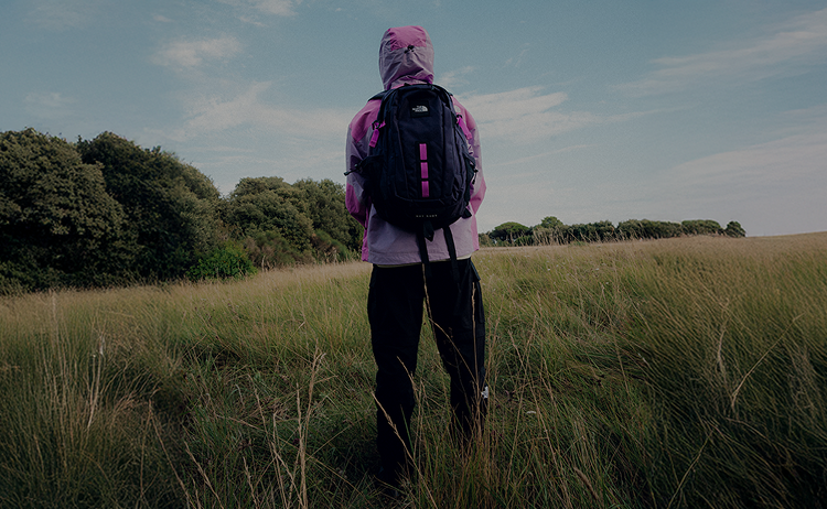 ■THE NORTH FACE■ stream ruck color NN2PQ25C Wyszukiwarka | Plecak i Torba | The North Face PL