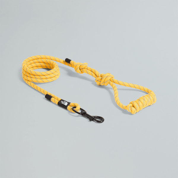 TNF Pet Leash - 1