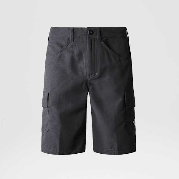 The North Face Horizon Shorts Für Herren Asphalt Grey Größe 28 male