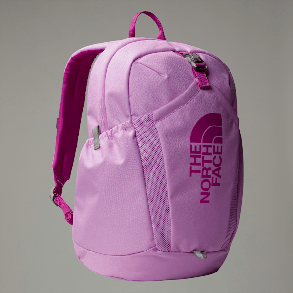 The North Face Mini Recon Rucksack Für Jugendliche Dragonfruit-deep Mulberry Größe Einheitsgröße male