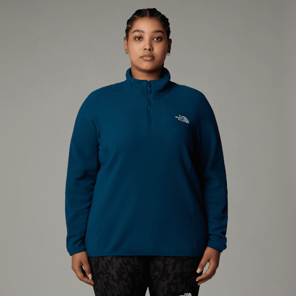 Plus size north face hoodie online