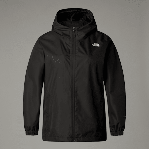 The North Face Plasmatic Insulated Jacket - Men's - Clothing
