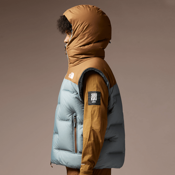 North face 800 pro down jacket best sale