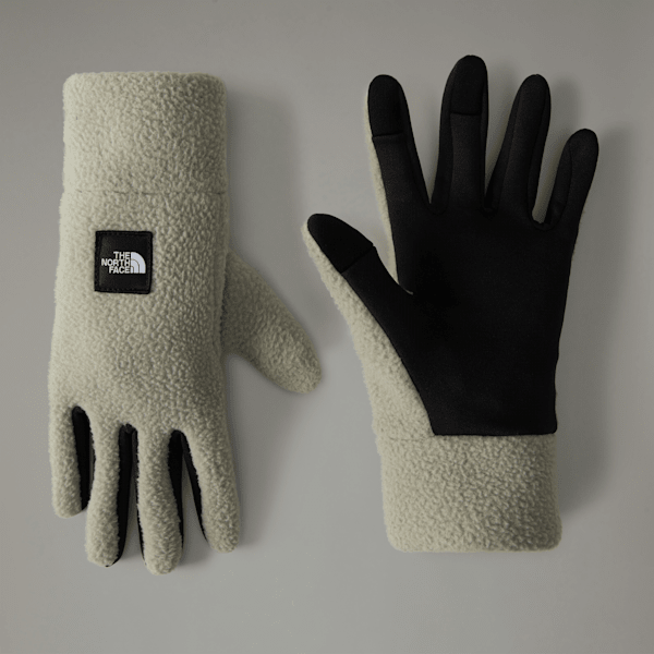 The North Face Fleeski Etip™ Handschuhe Für Herren Clay Grey Größe L male