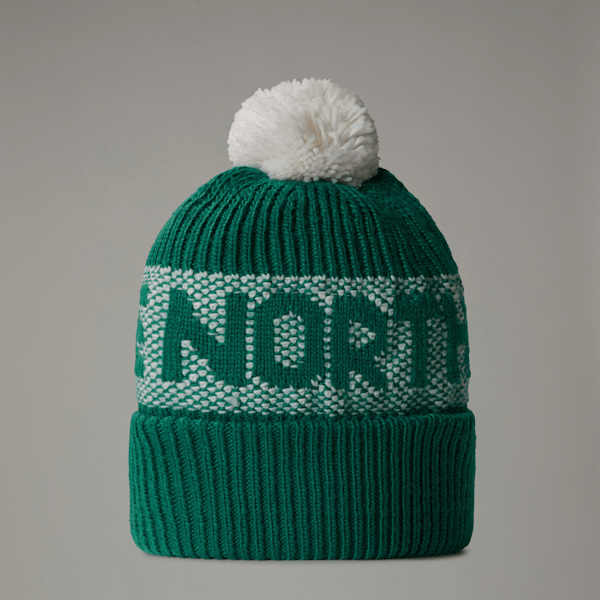 The North Face Retro Cabin Beanie Evergreen-white Dune Größe Einheitsgröße male