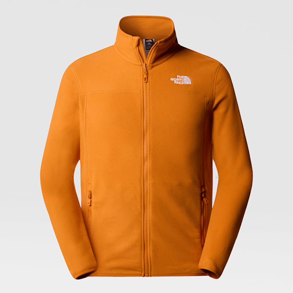 Men s 100 Glacier Full Zip Fleece