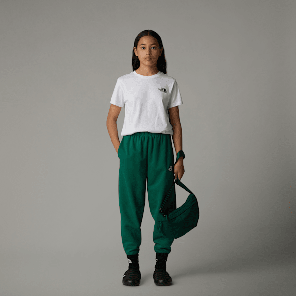 [ノースフェイス]★DOME LOGO S/S R/TEE★UNISEX Buy The North Face Brown Simple Dome T-Shirt from Next USA