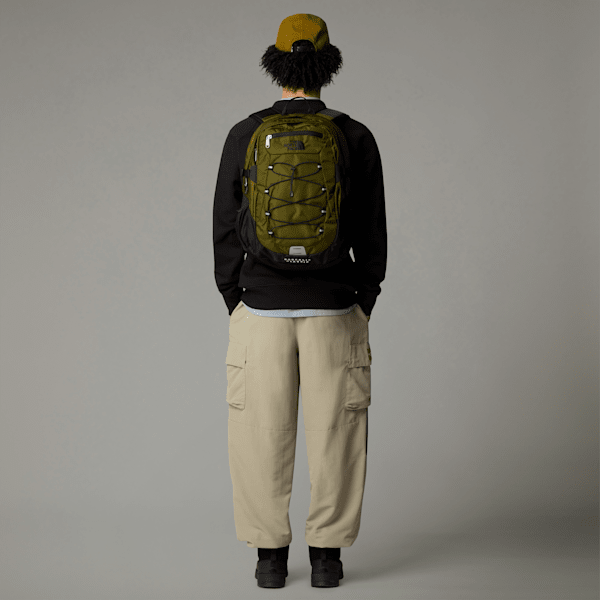 Borealis Classic Backpack | The North Face FI
