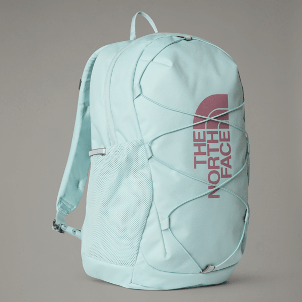 The North Face Jester Rucksack Für Jugendliche Muted Pine-mauve Größe Einheitsgröße male