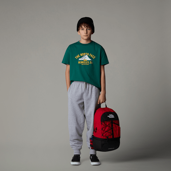 [THE NORTH FACE] ★ALLDAY STRETCH L/S ZIP TEE T-shirt oversize à manches longues Varsity Graphic pour
