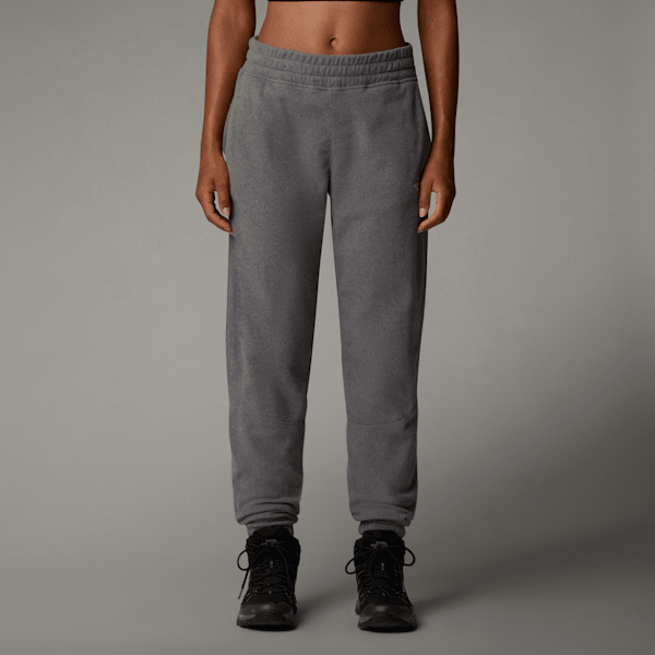 The North Face 100 Glacier Jogginghose Für Damen Tnf Medium Grey Heather Größe S female