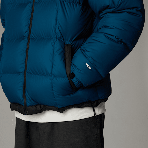 North face down jacket men's 700 sale