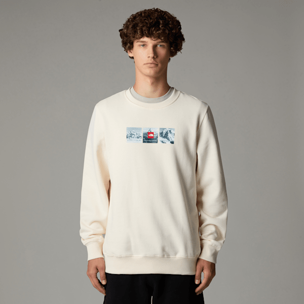 The North Face Expedition System Sweatshirt Mit Grafik Für Herren White Dune Größe L male