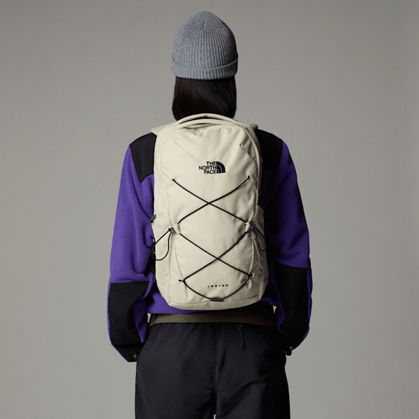 Backpack north face jester best sale