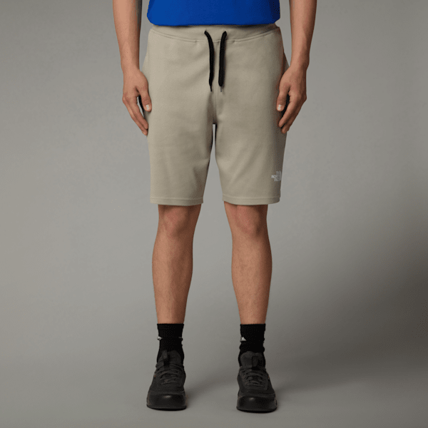 The North Face Graphic Light Shorts Für Herren Clay Grey Größe XS male