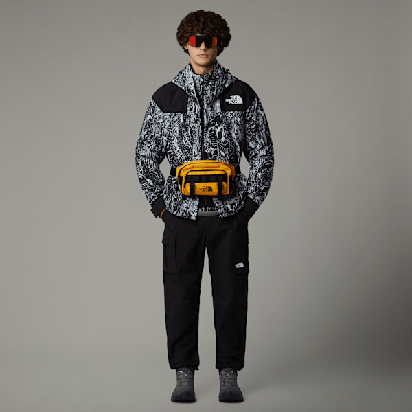 ふ*ま様 THE NORTH FACE GORE-TEX MOUNTAIN JA The North Face Men's GORE-TEX® Mountain Jacket