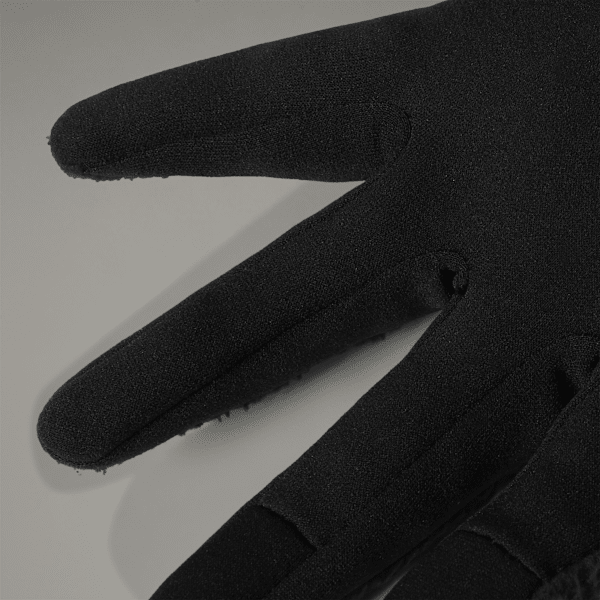 Męskie rękawice Fleeski Etip™ | The North Face PL