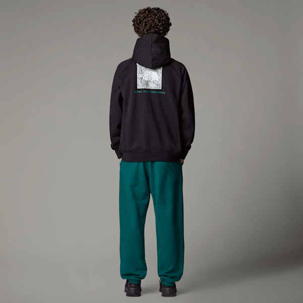 Mens-NSE-Box-Raglan-Hoodie.jpg