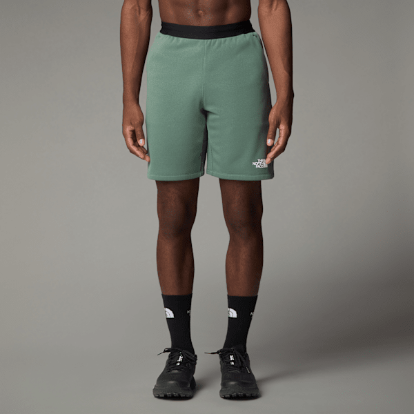 The North Face Mountain Athletics Fleece-shorts Für Herren Duck Green Größe S male