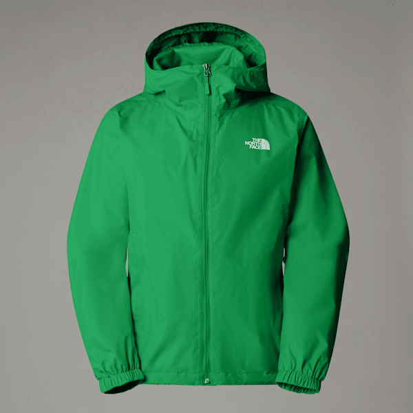 The North Face New Peak Jacke Klein Verpackbar Für Herren Optic Emerald Größe M male