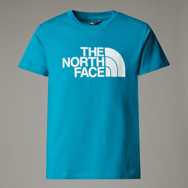 The North Face Easy T-shirt Für Jungen Digital Steel Größe XL male