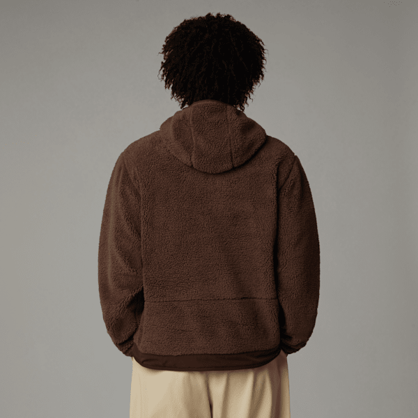 THE NORTH FACE Men's Campshire Fleece Hoodie, Sulphur Moss